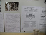 Bilder aus der Heimatverein �F�hrenflie� e.V.�aus dem Jahr 2008"