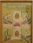 Bilder aus der Heimatverein �F�hrenflie� e.V.�aus dem Jahr 2008"