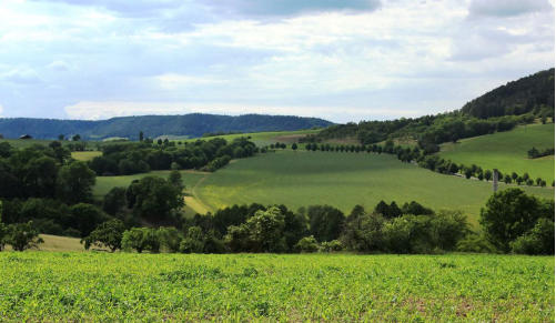 Sie ist wunderschn, aber von vielen unentdeckt  die Landschaft an den Muschelkalkhngen rund um Grokochberg.