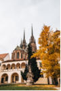 Besuch der Kathedrale St. Peter und Paul: Die imposante Kathedrale dominiert neben der Festung das Stadtbild von Brnn  umso mehr, da sie auf dem Hgel Petrov erbaut ist.