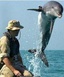 Ein T�mmler der US-Marine beim Training im persischen Golf. (Archivbild von 2003).Wikimedia Commons/US Navy/PD